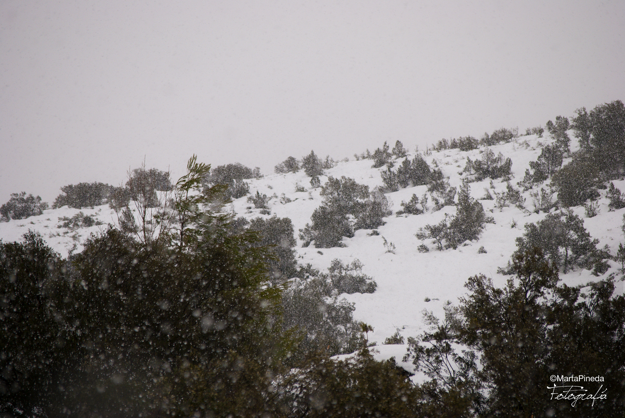 Nikon D60 sample photo. Nieve. barracas, viver photography