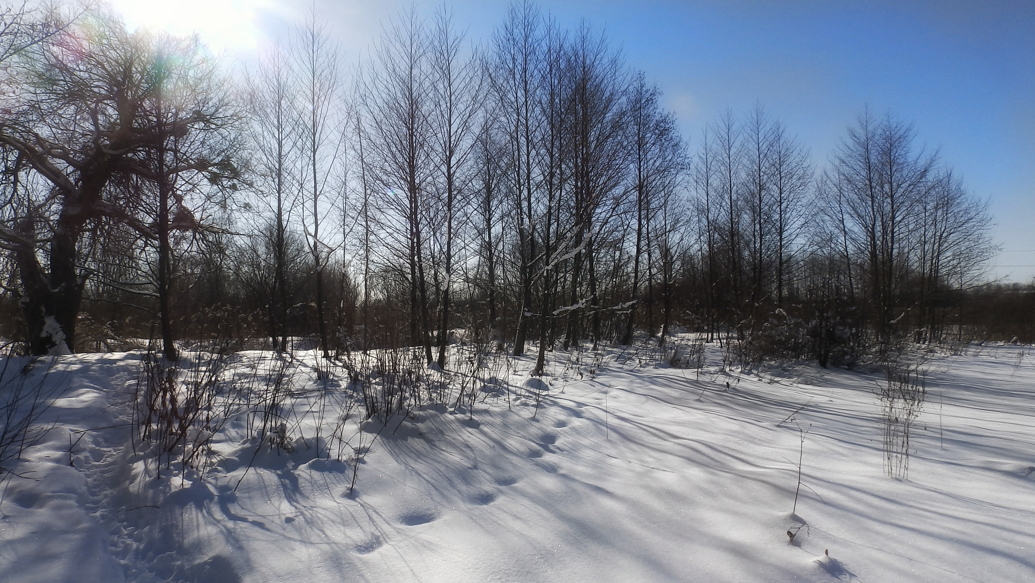 Olympus SP-820UZ sample photo. Winter sunny day photography
