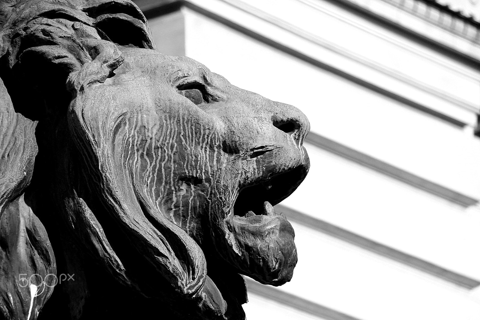 Canon EOS 650D (EOS Rebel T4i / EOS Kiss X6i) sample photo. Bronze face photography