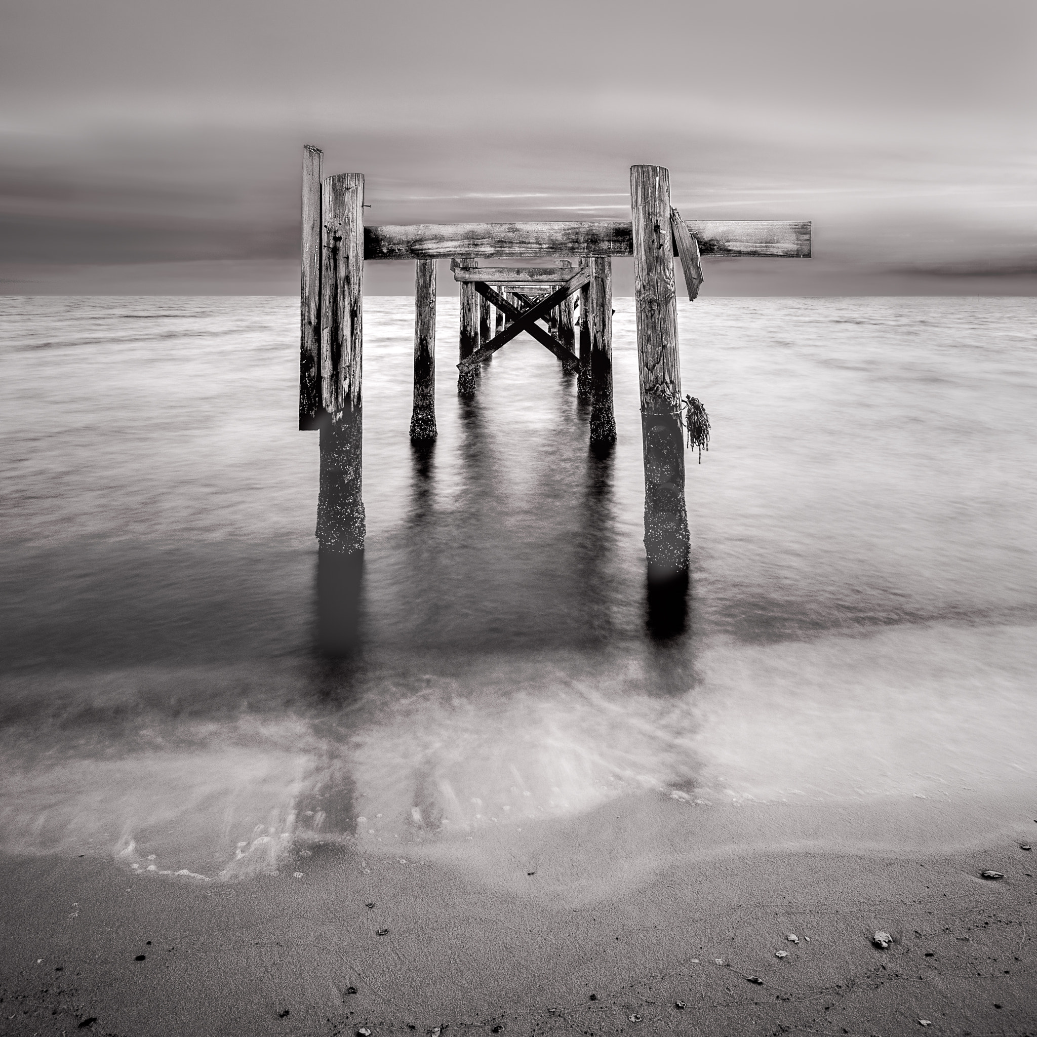 Nikon D500 sample photo. "remnants in b&w" photography