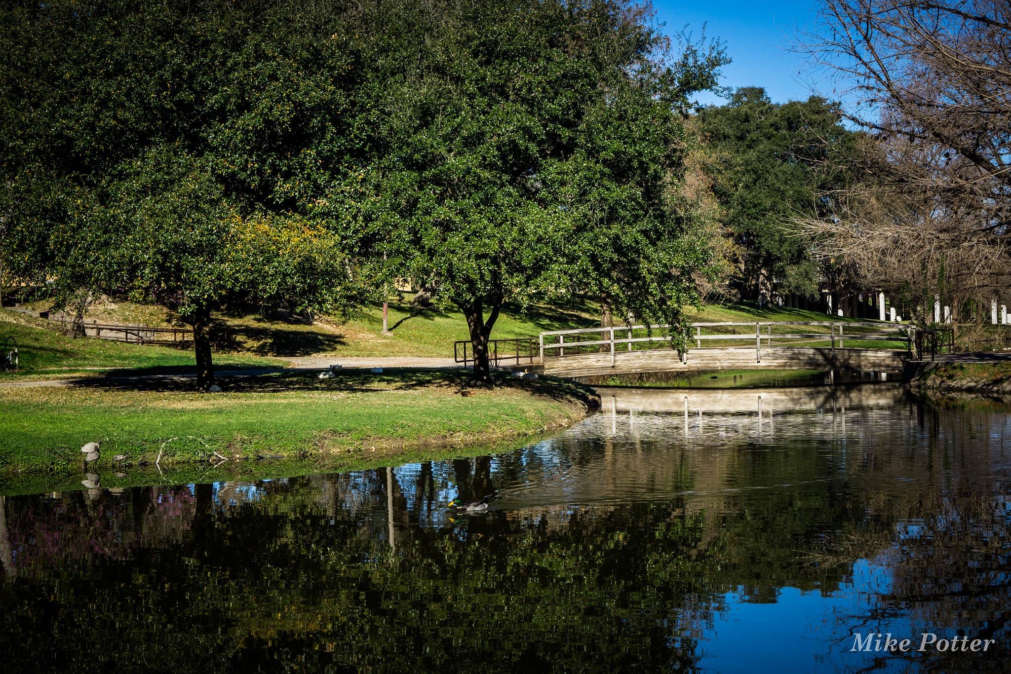 Sony a6000 + Sony E 18-55mm F3.5-5.6 OSS sample photo. Uvalde city park, texas photography