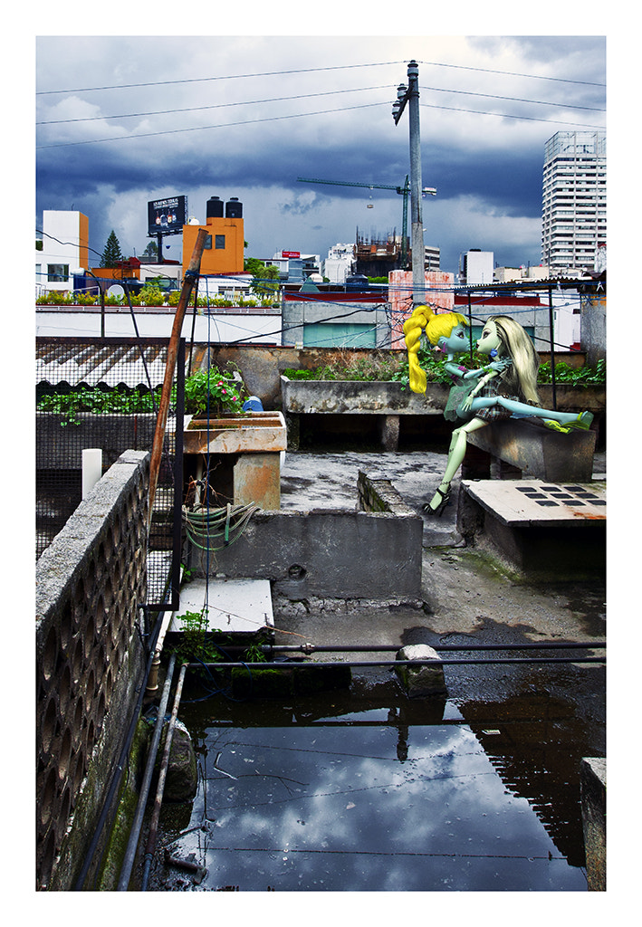 Canon EOS-1D Mark III sample photo