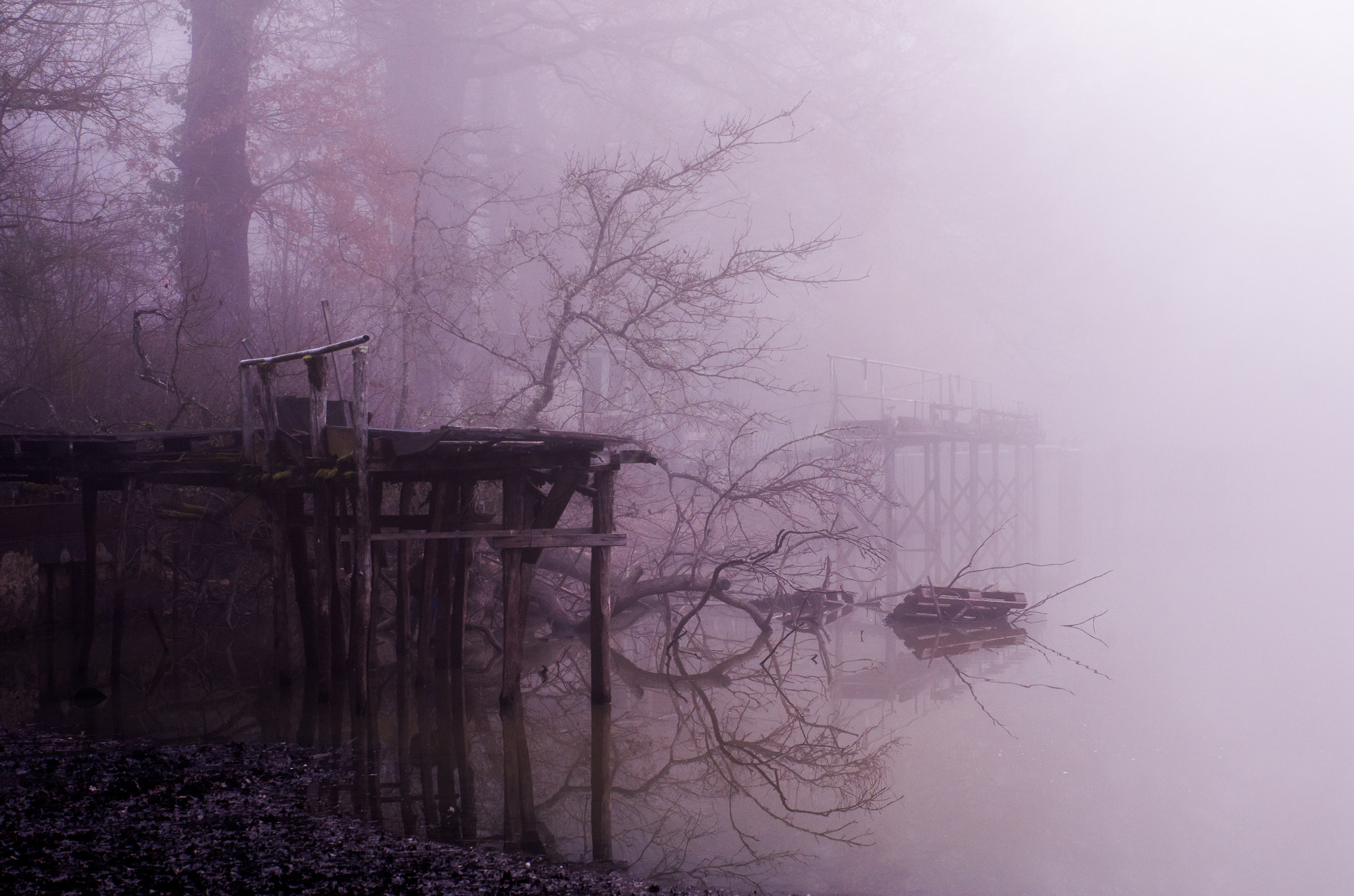 Pentax K-5 + Pentax smc FA 50mm F1.4 sample photo. A foggy time photography