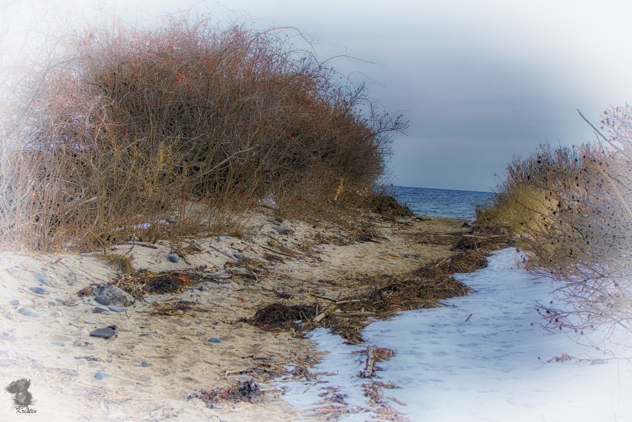 Sony Alpha NEX-3 sample photo. Path to the sea photography