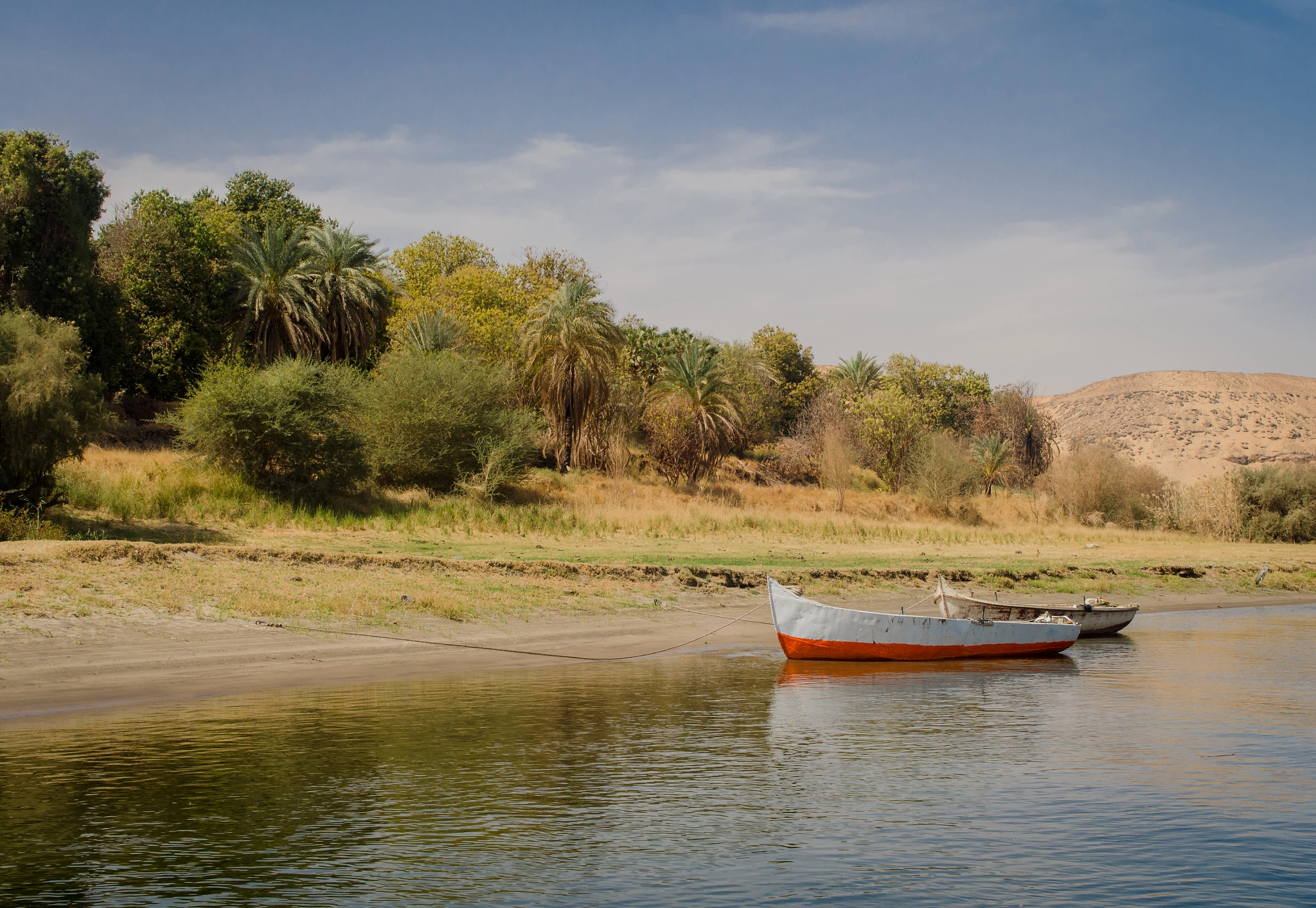 Sigma 24-70mm F2.8 EX DG HSM sample photo. Beauty of nubia photography