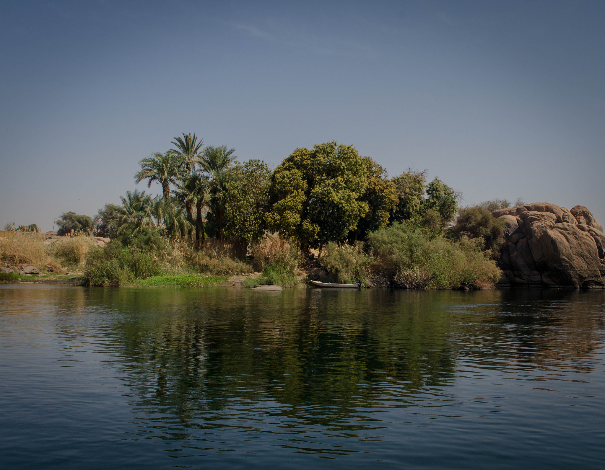 Nikon D5100 sample photo. Nile trees photography