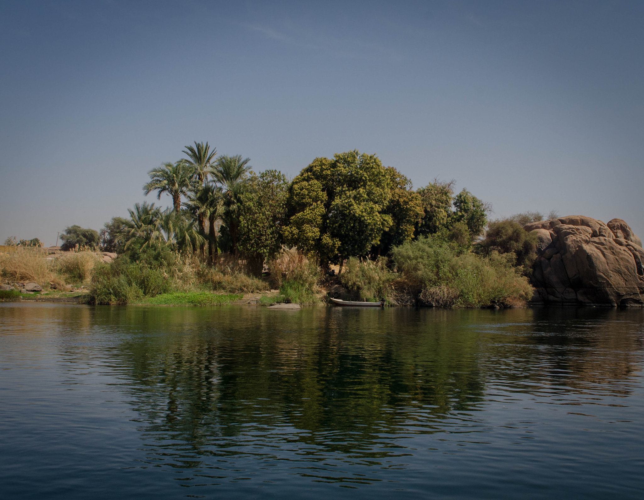 Nikon D5100 + Sigma 24-70mm F2.8 EX DG HSM sample photo. Nile trees photography