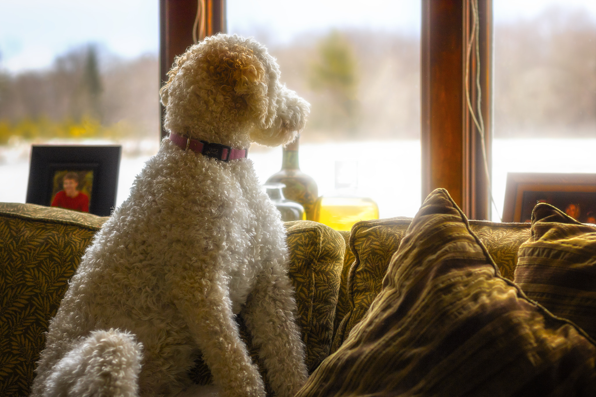Canon EF 50mm F1.4 USM sample photo. Waiting masters return photography