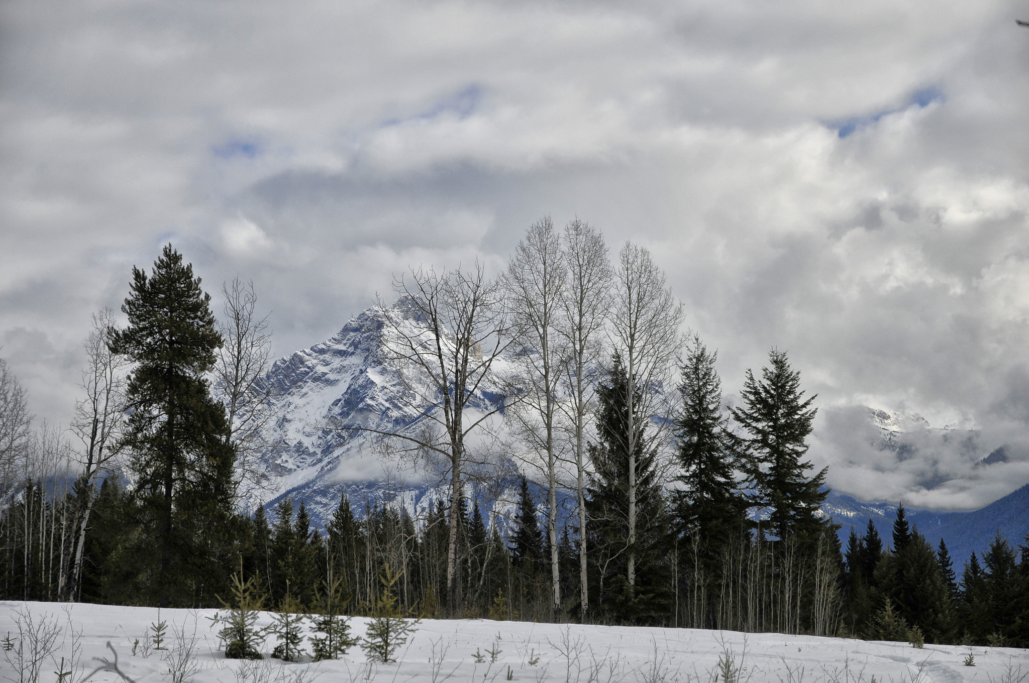 Nikon D300 sample photo. In bc photography