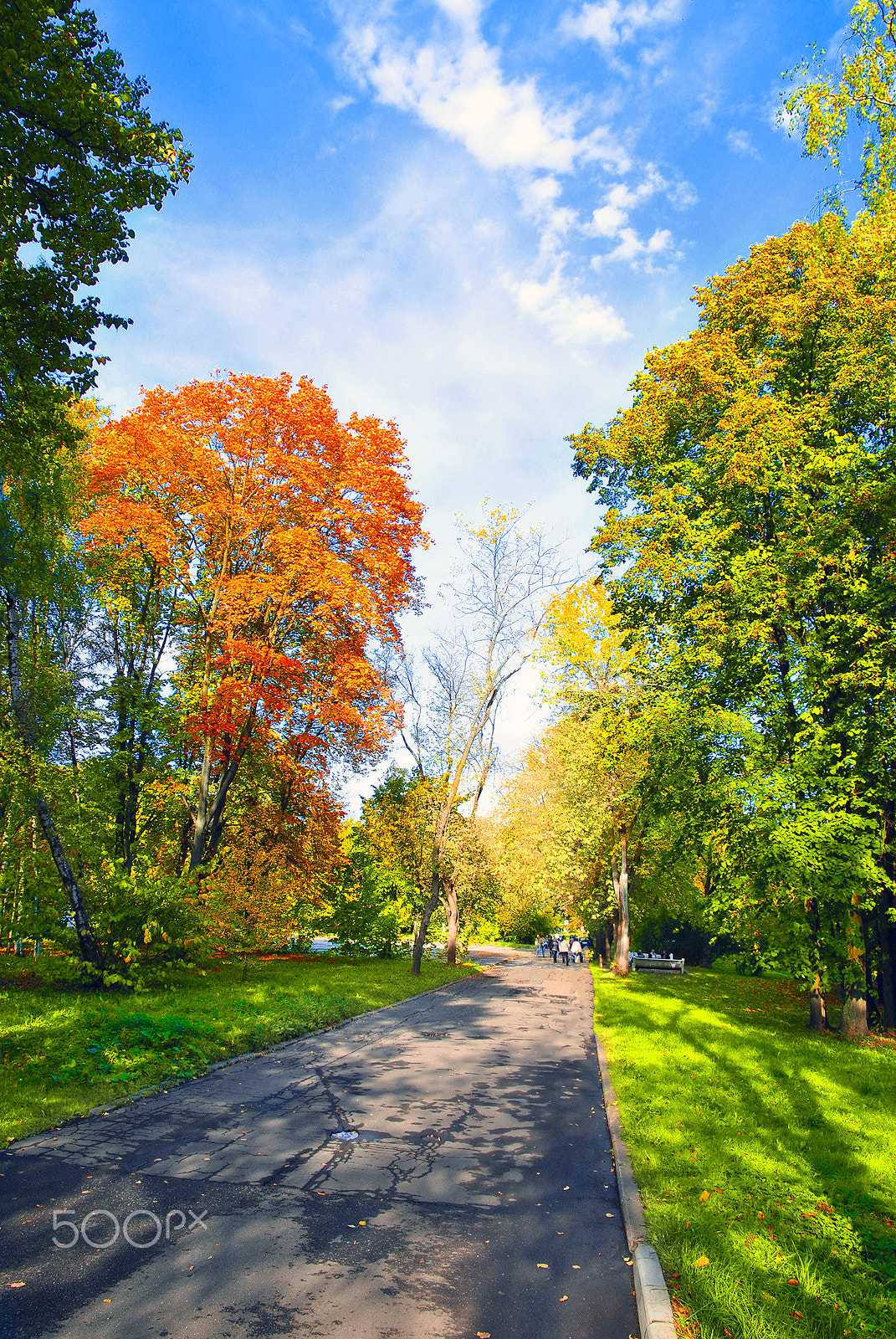 Nikon D3000 sample photo. Walk in the park photography