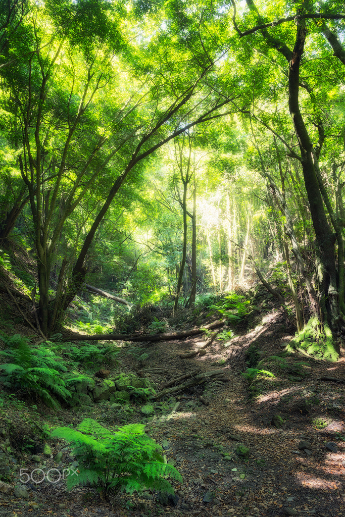 Canon EOS 60D + Canon EF 17-40mm F4L USM sample photo. Cubo de la galga photography