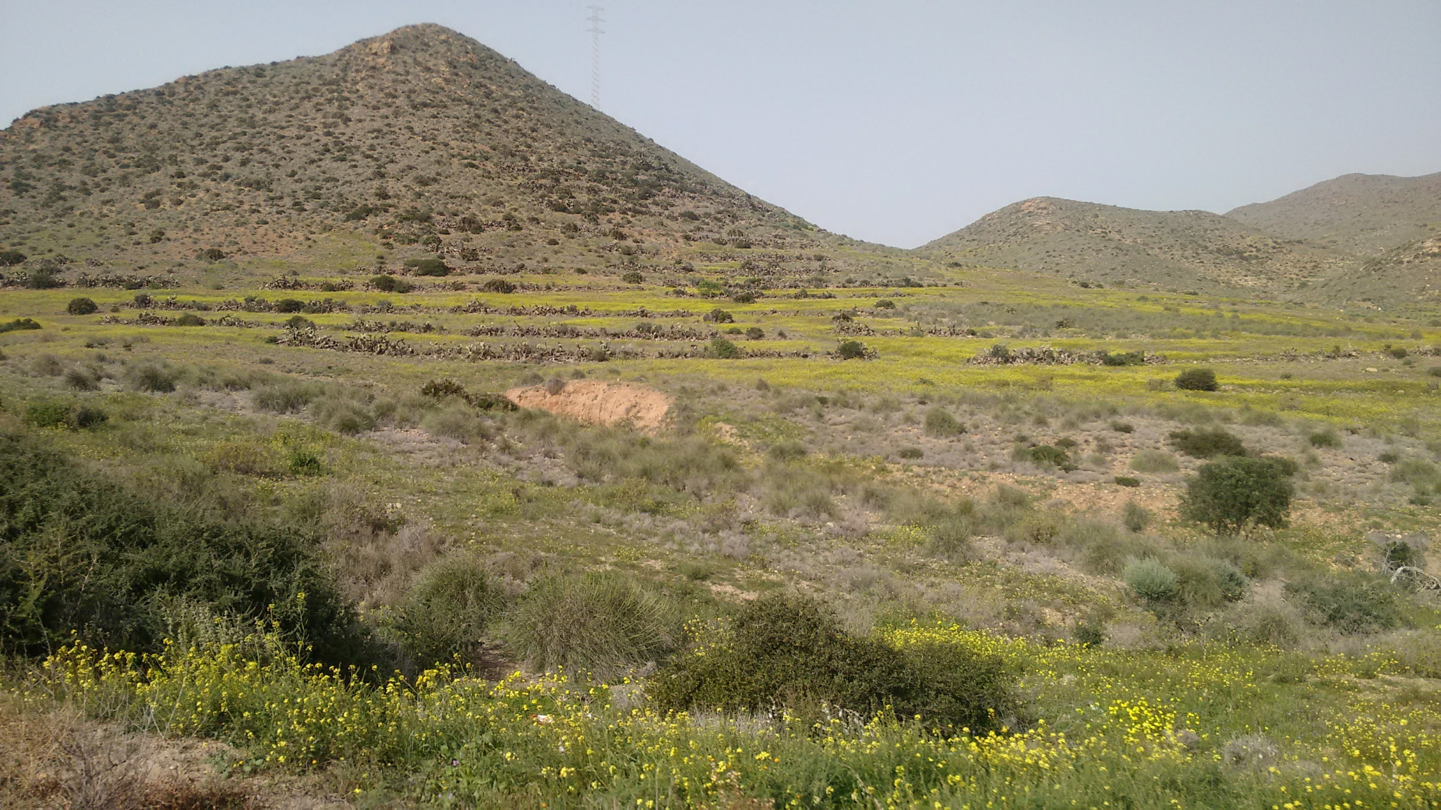 Motorola Moto G with 4G LTE (2nd Gen) sample photo. Paraje natural de cabo de gata níjar photography