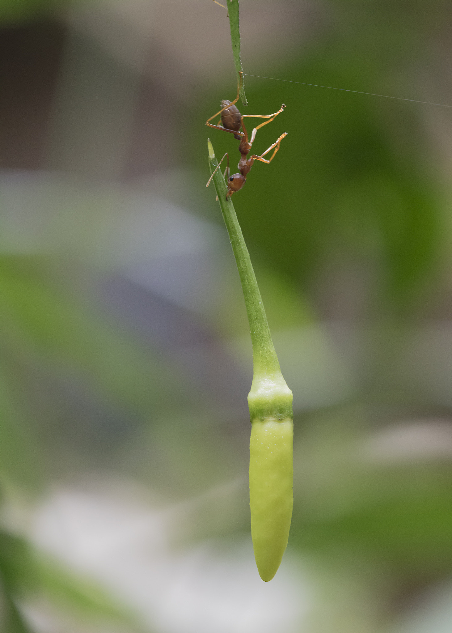 Canon EOS M3 sample photo. Untitled photography