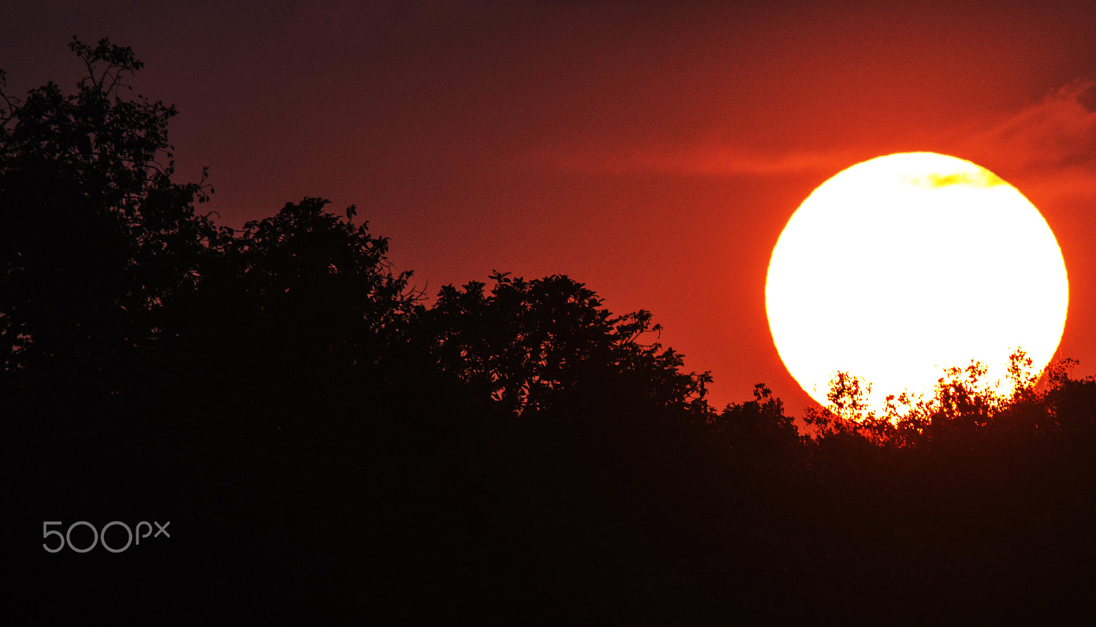 Sigma 150-500mm F5-6.3 DG OS HSM sample photo. Sun set photography