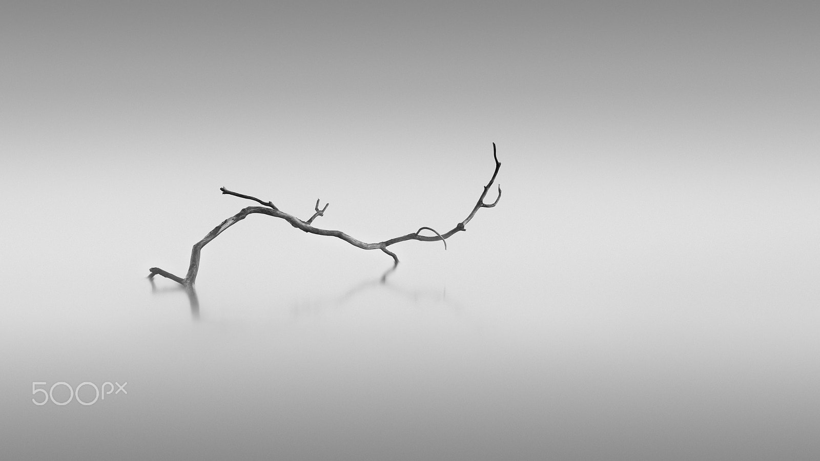 Nikon D810 sample photo. Twisted photography