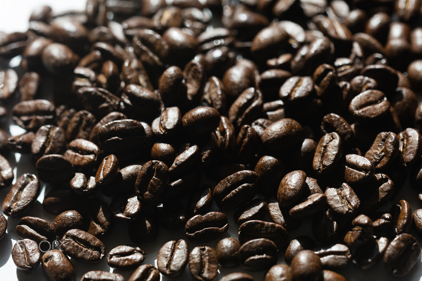Sigma 150mm f/2.8 EX DG OS HSM APO Macro sample photo. Black coffee grains photography