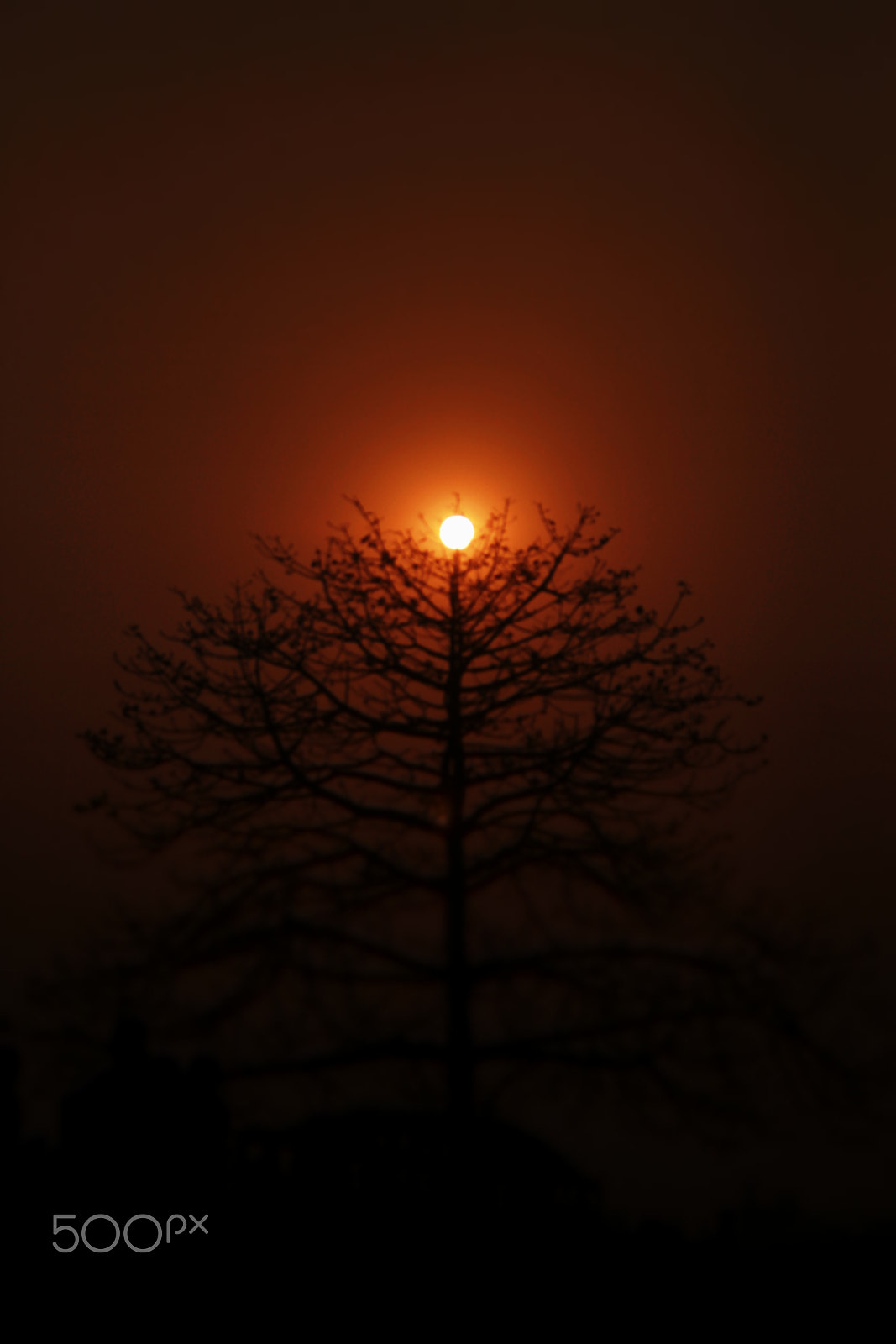Canon EOS 60D sample photo. Sun set photography