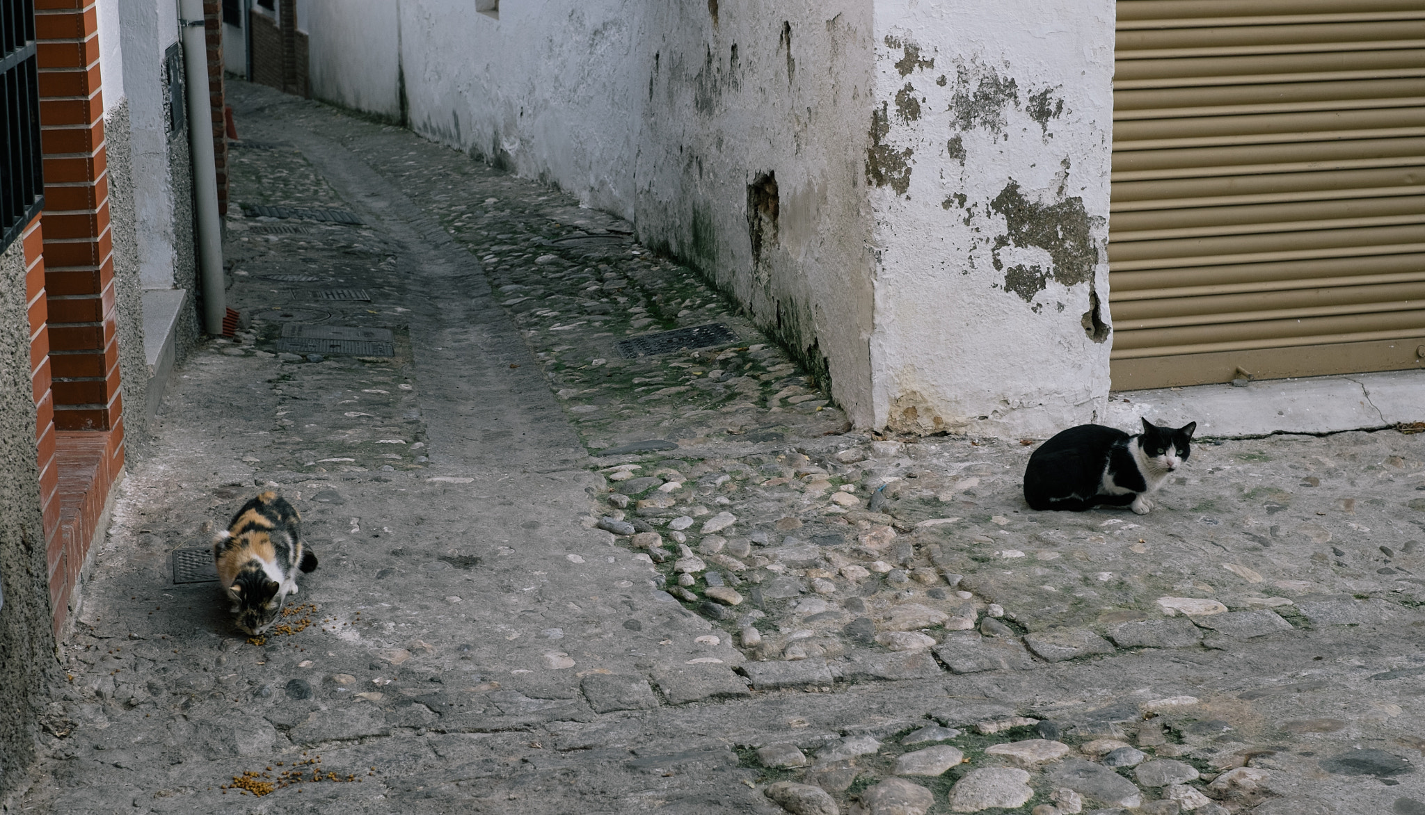 Fujifilm X-E2 + Fujifilm XF 35mm F1.4 R sample photo. Locals photography