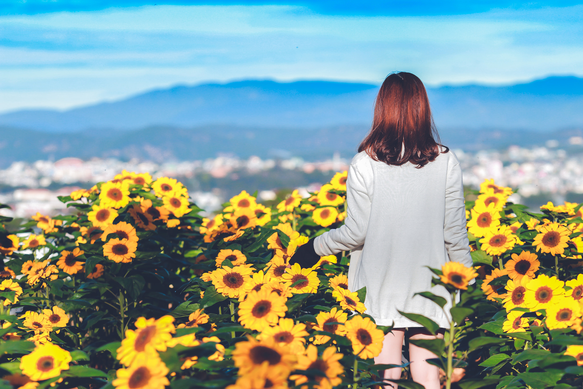 Canon EF 70-200mm F2.8L USM sample photo. Flower ,sunset and mygirl photography