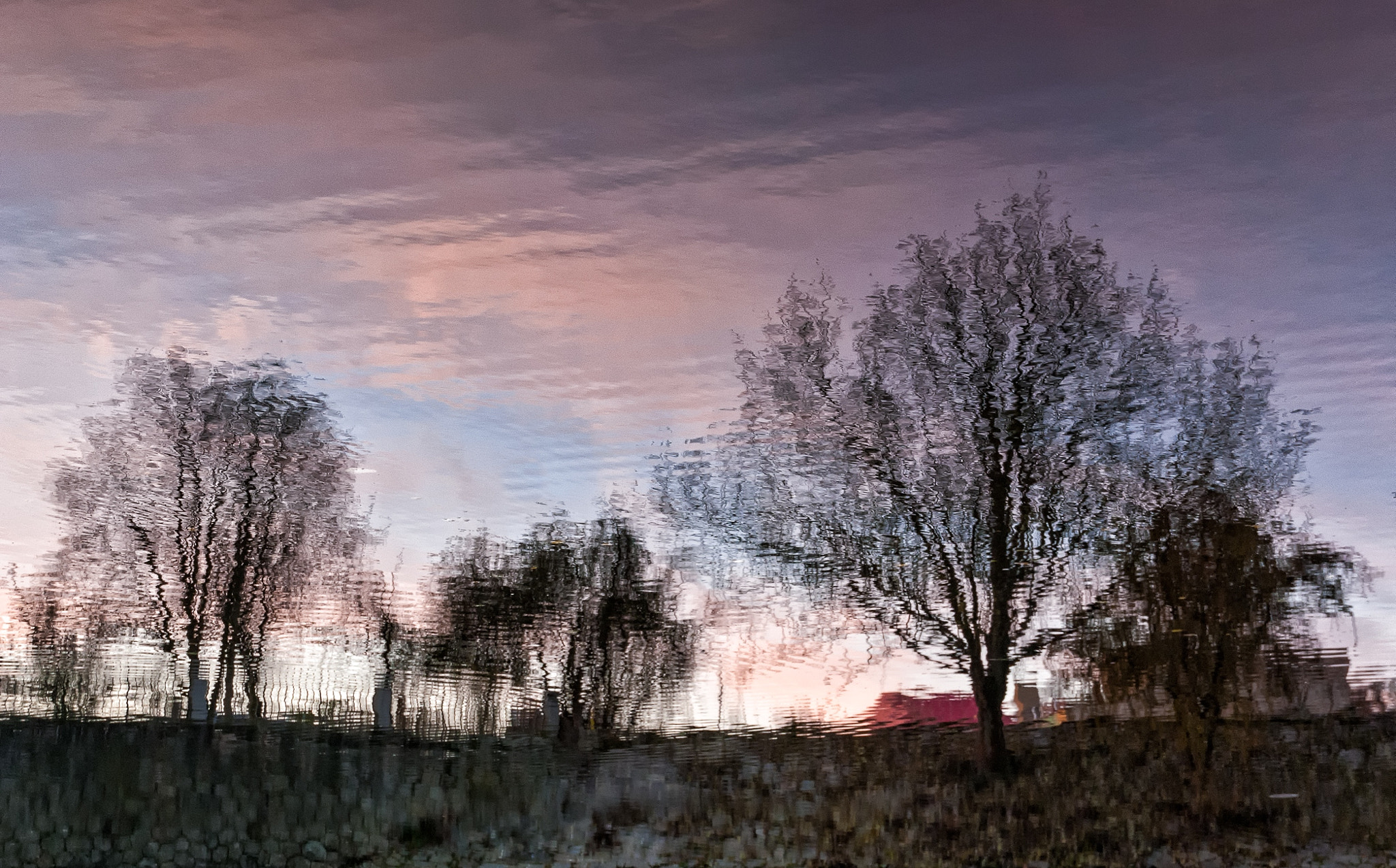 Nikon D3000 sample photo. Pod hladinou photography