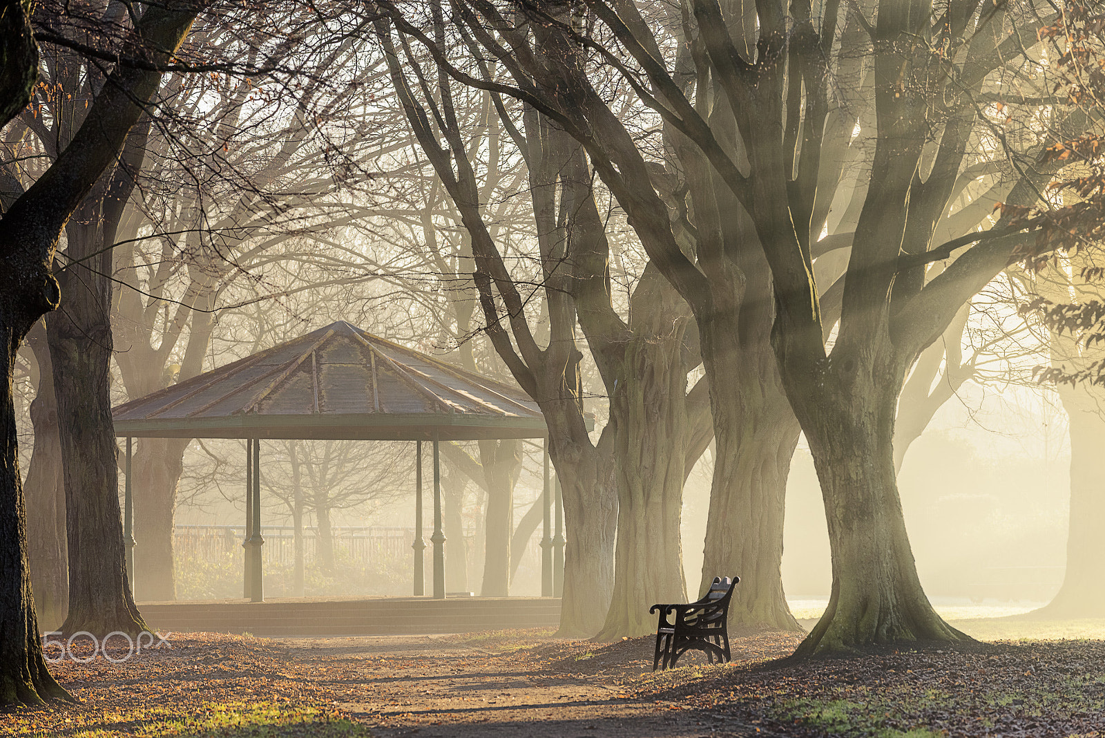 Nikon AF-S Nikkor 70-200mm F4G ED VR sample photo. St helena's park photography