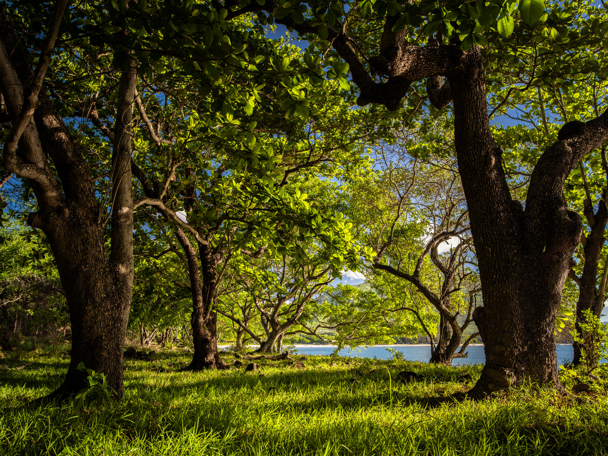 smc PENTAX-FA 645 35mm F3.5 AL [IF] sample photo. Shire photography