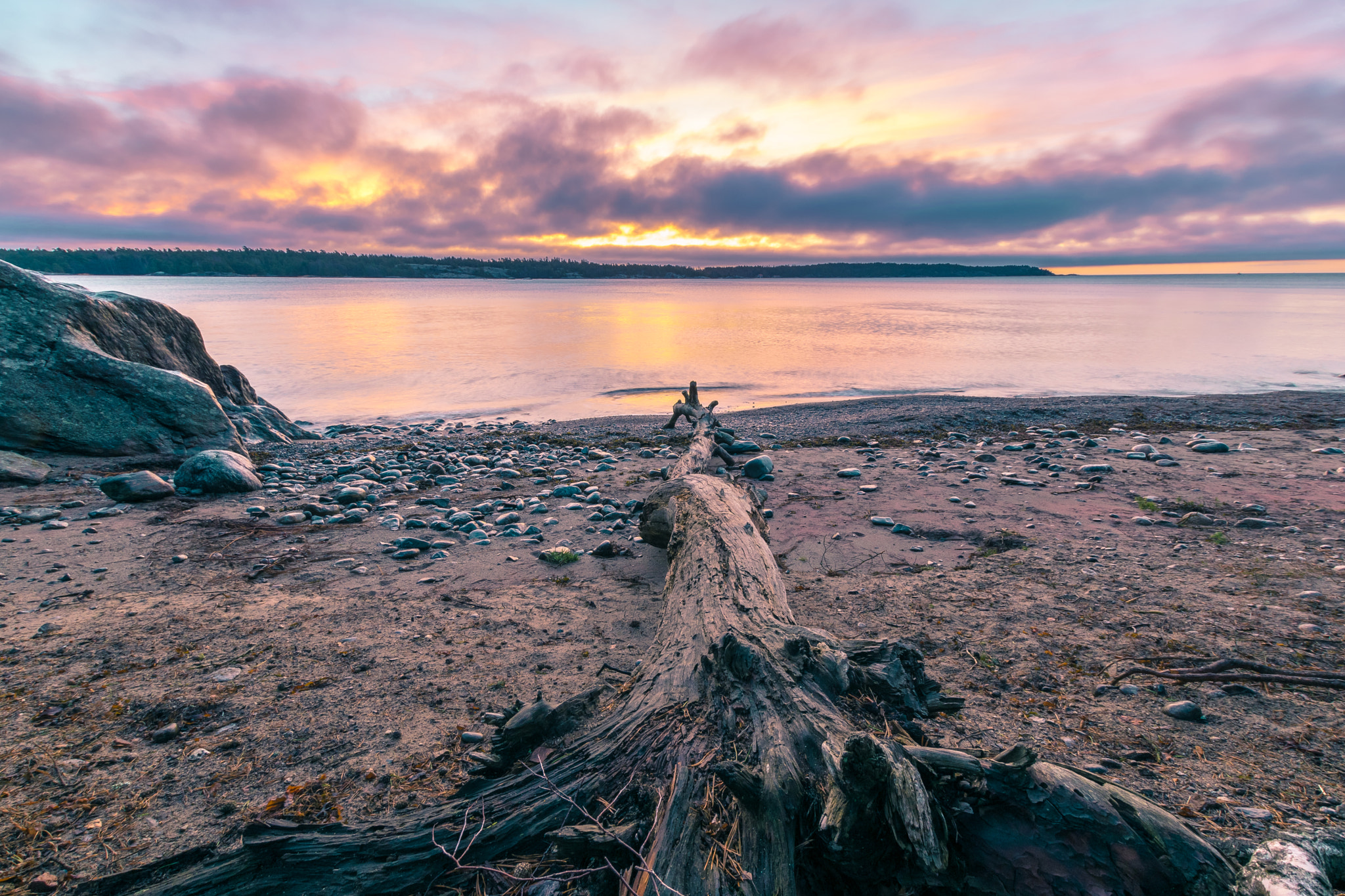 Nikon D3300 + Sigma 10-20mm F3.5 EX DC HSM sample photo. Fallen tree photography