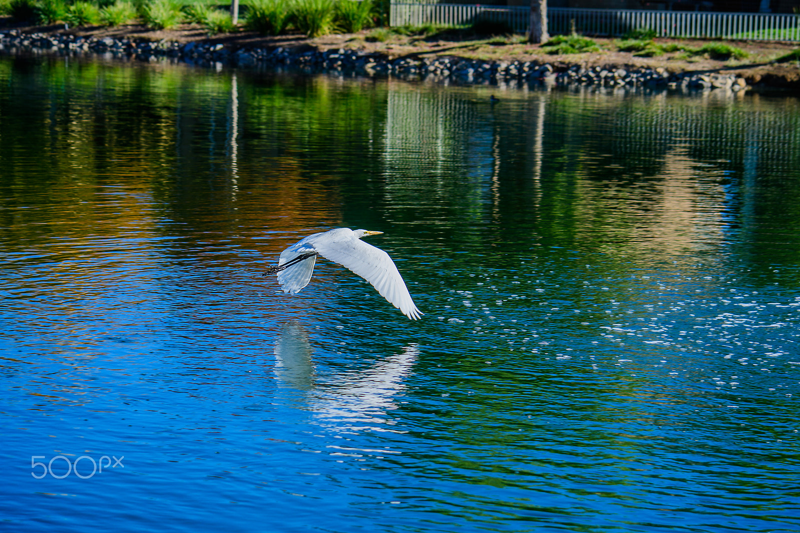 Nikon D500 sample photo. Dsc photography