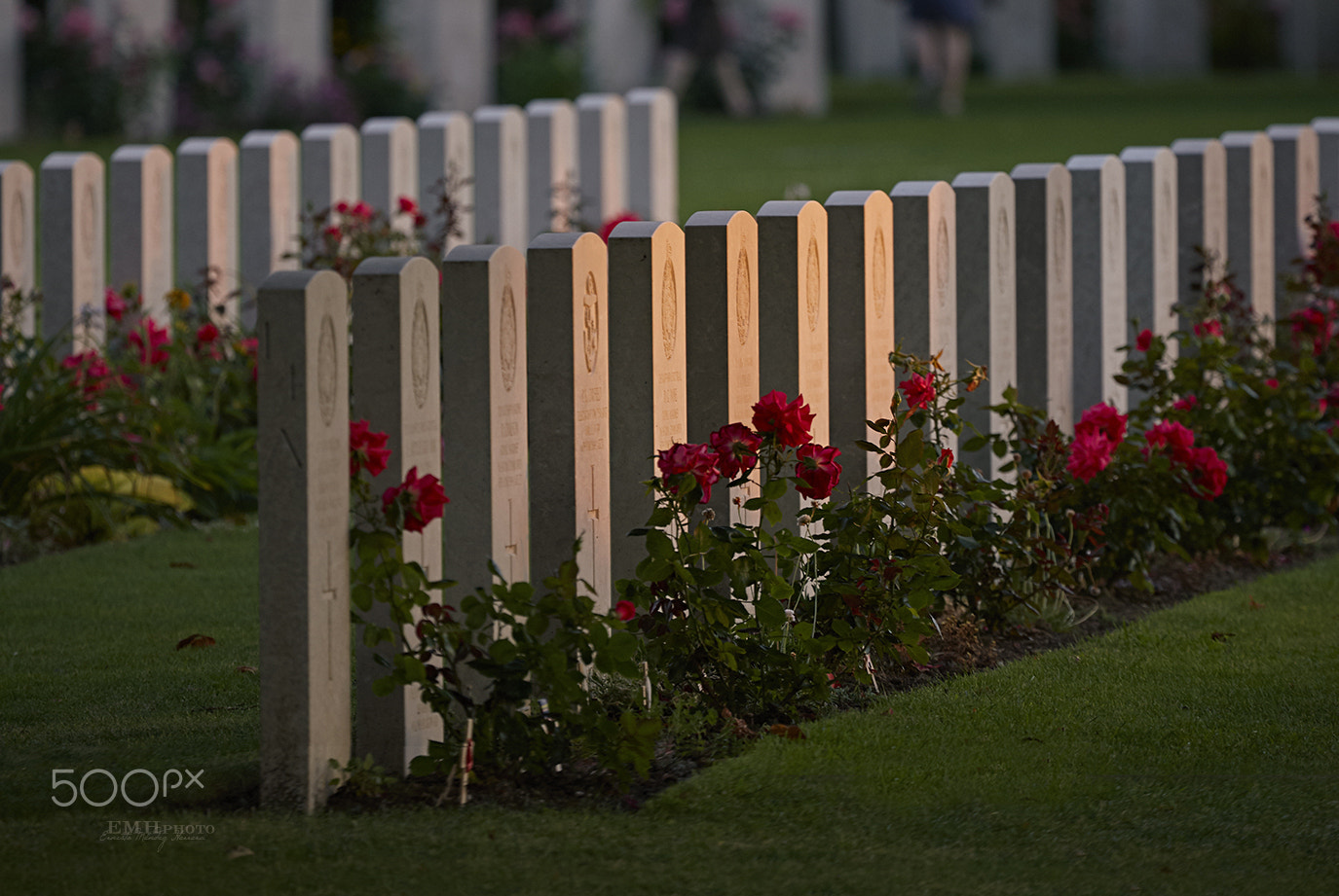 Canon EF 100-400mm F4.5-5.6L IS USM sample photo. The fallen i photography