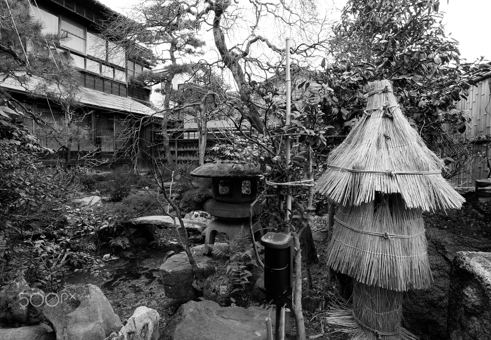 Canon EF-M 11-22mm F4-5.6 IS STM sample photo. Japanese garden photography