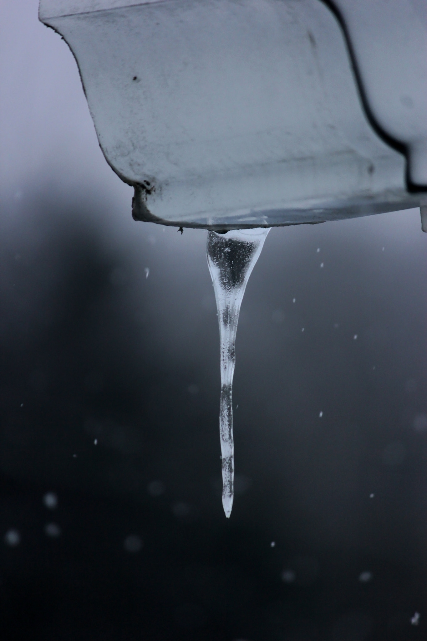Canon EF-S 55-250mm F4-5.6 IS sample photo. Frozen in time photography