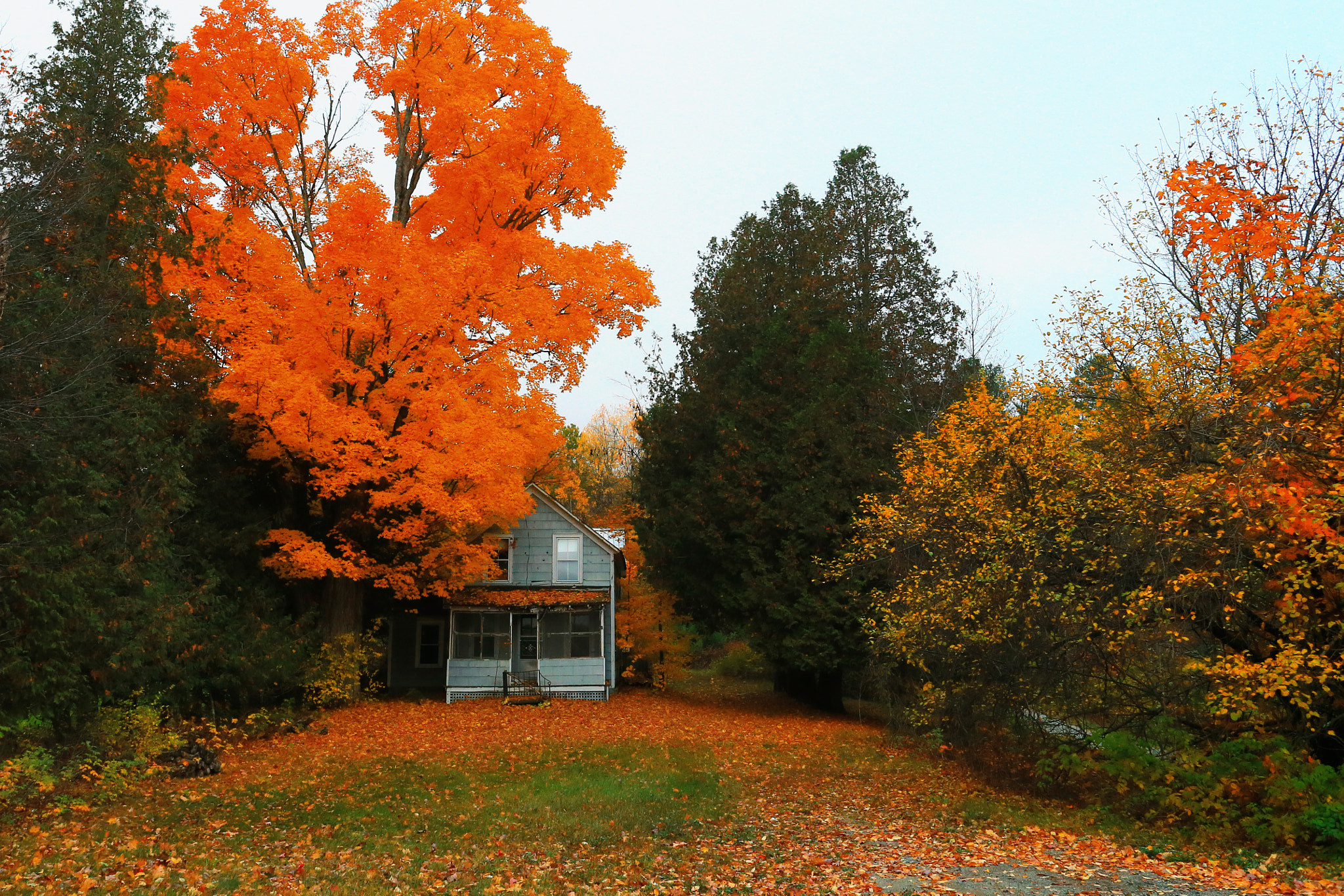 Canon EOS-1D X + Canon EF 17-40mm F4L USM sample photo. Orange crush photography