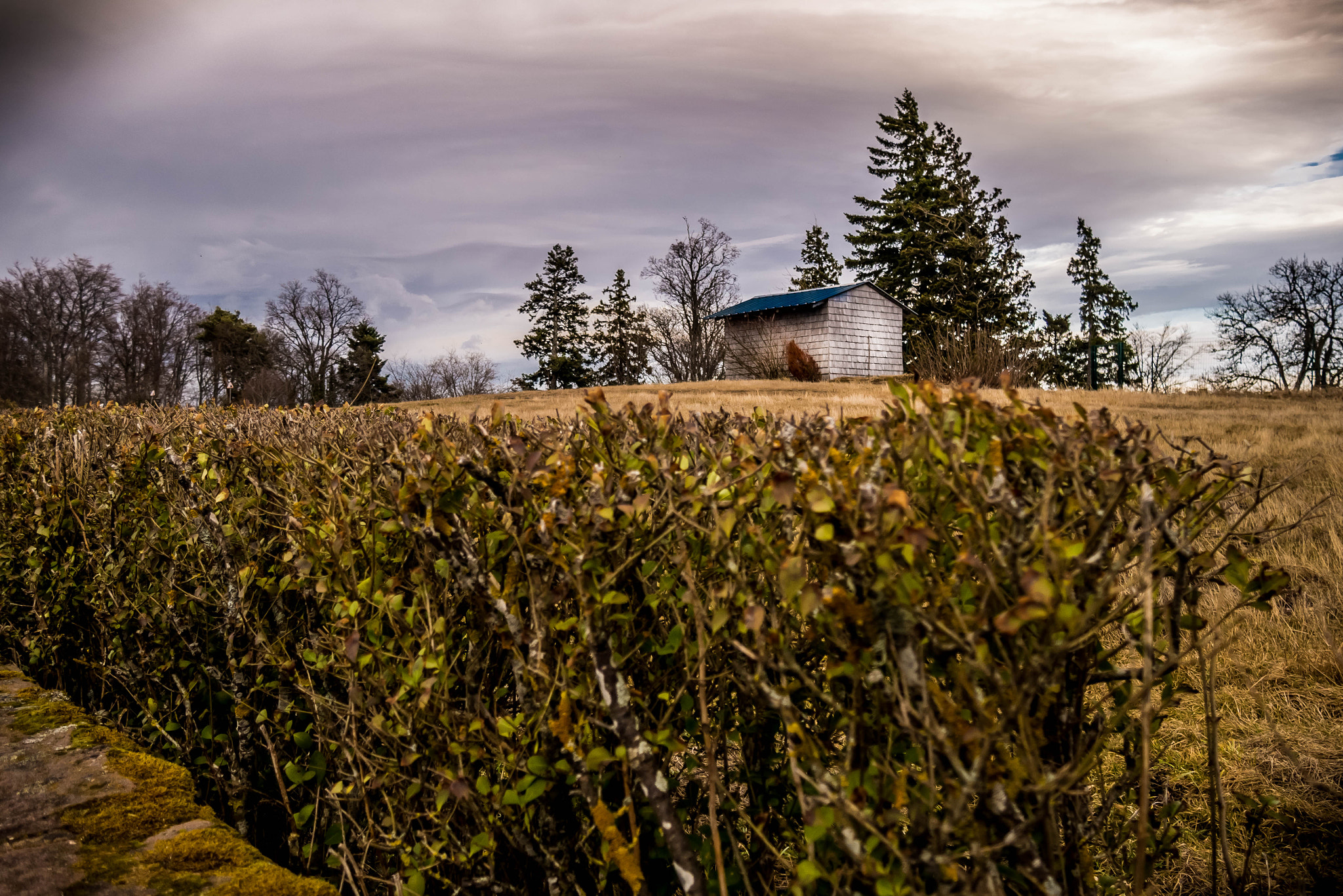 Panasonic Lumix DMC-G7 sample photo. A house in the wind photography