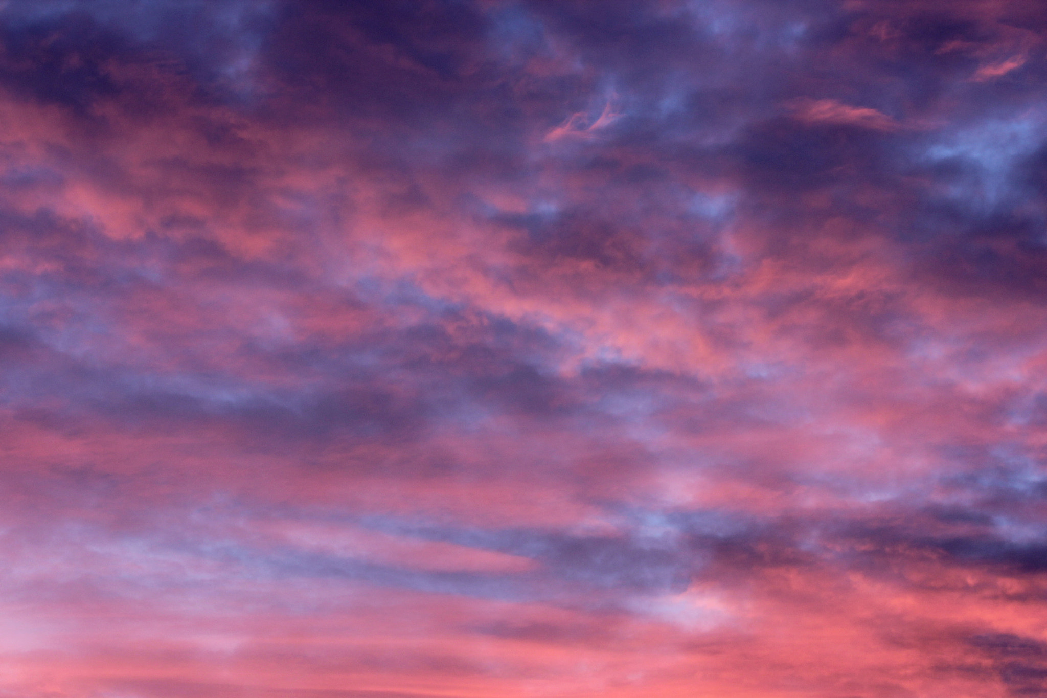 Canon EF-S 60mm F2.8 Macro USM sample photo. Pink sky photography