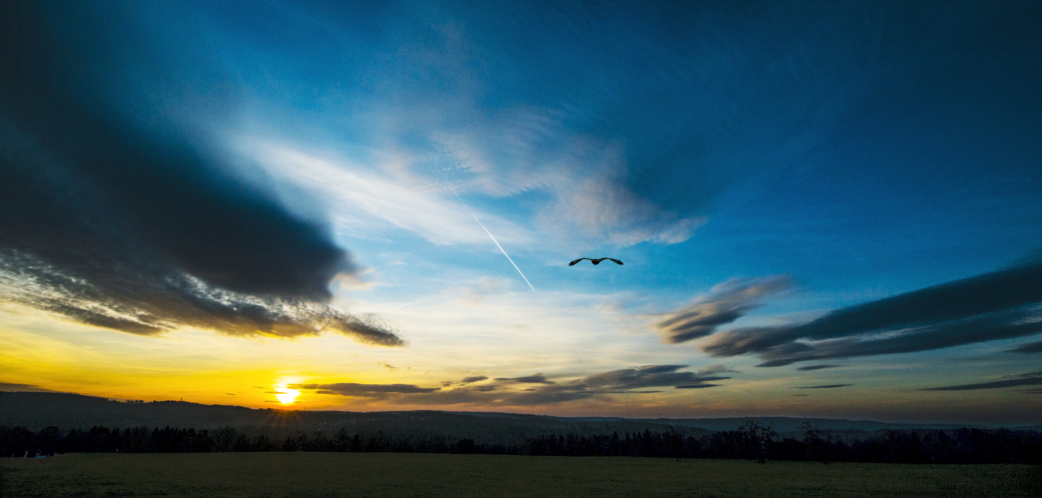 Tamron SP 15-30mm F2.8 Di VC USD sample photo. Flight into the sunrise photography