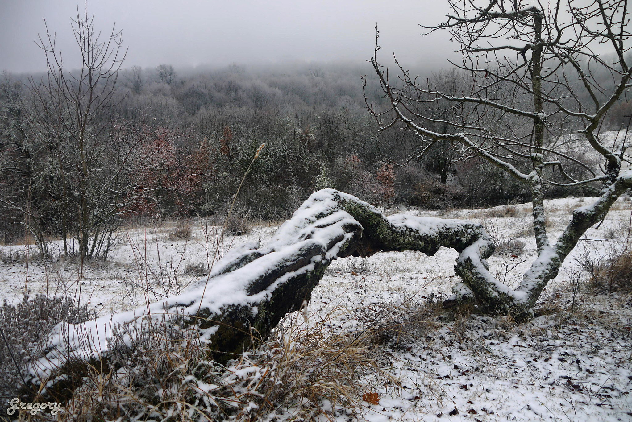 Panasonic Lumix DMC-G10 sample photo. Winter photography