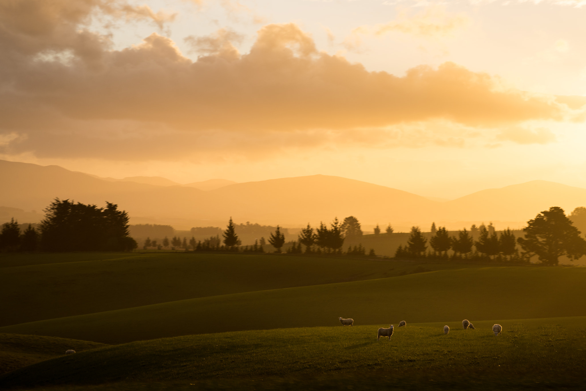 Nikon D600 sample photo. New zealandscape photography