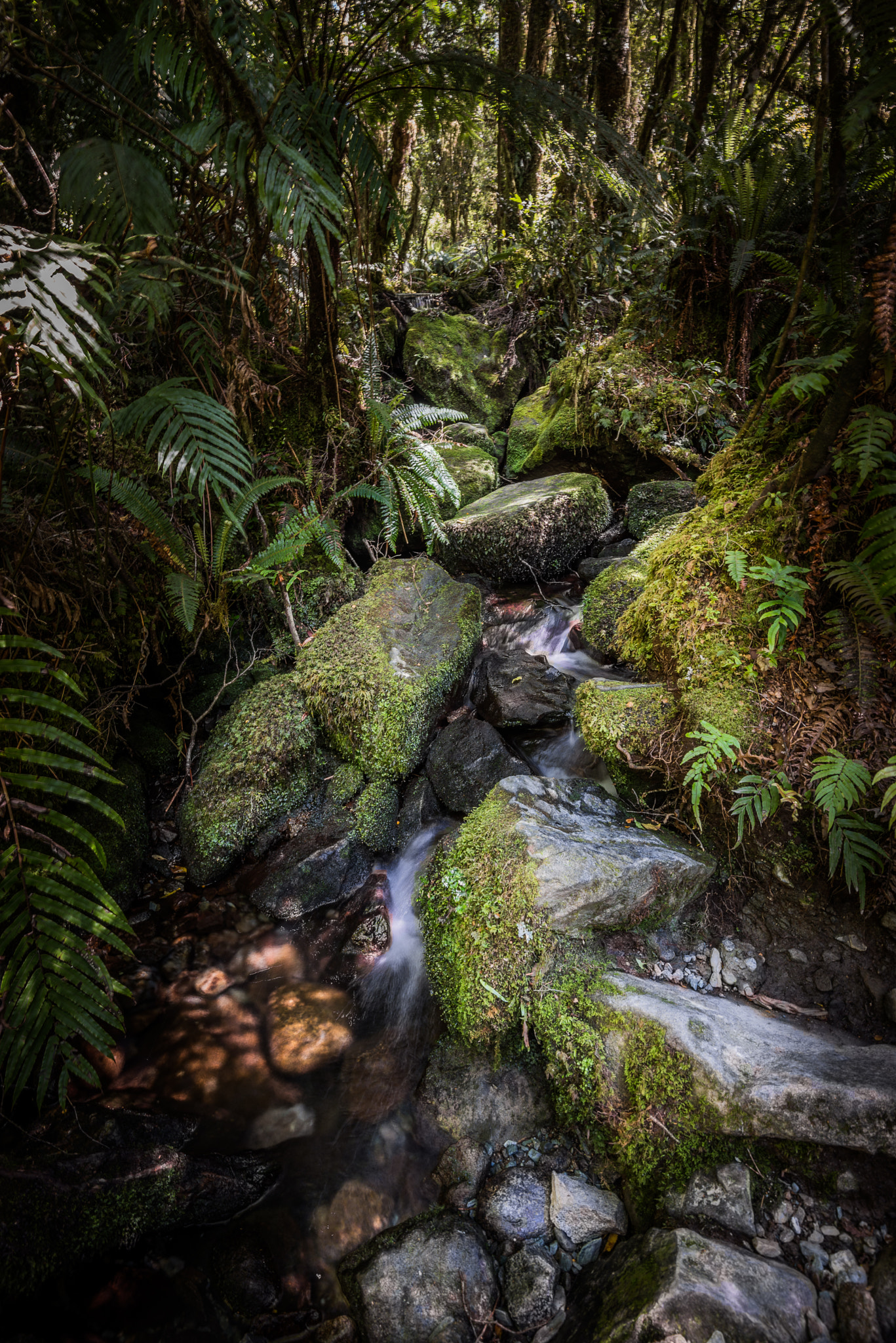 Nikon AF-S Nikkor 16-35mm F4G ED VR sample photo. New zealandscape photography