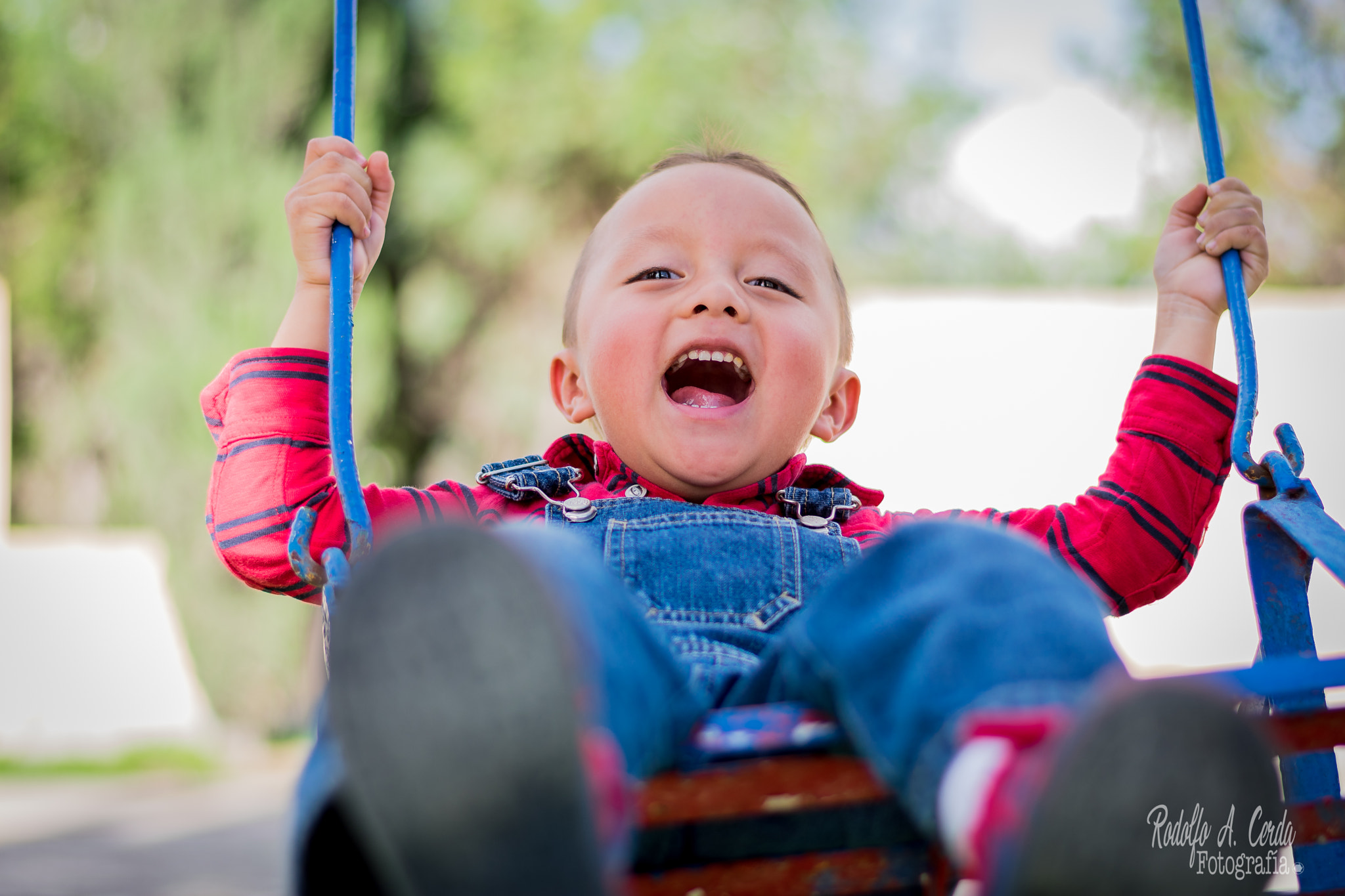Nikon D3400 + Nikon AF-S Nikkor 50mm F1.8G sample photo. Life is fun! photography