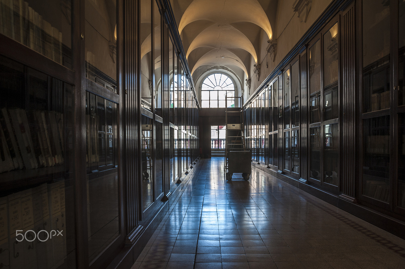 AF Zoom-Nikkor 28-105mm f/3.5-4.5D IF sample photo. Bibliotheca photography