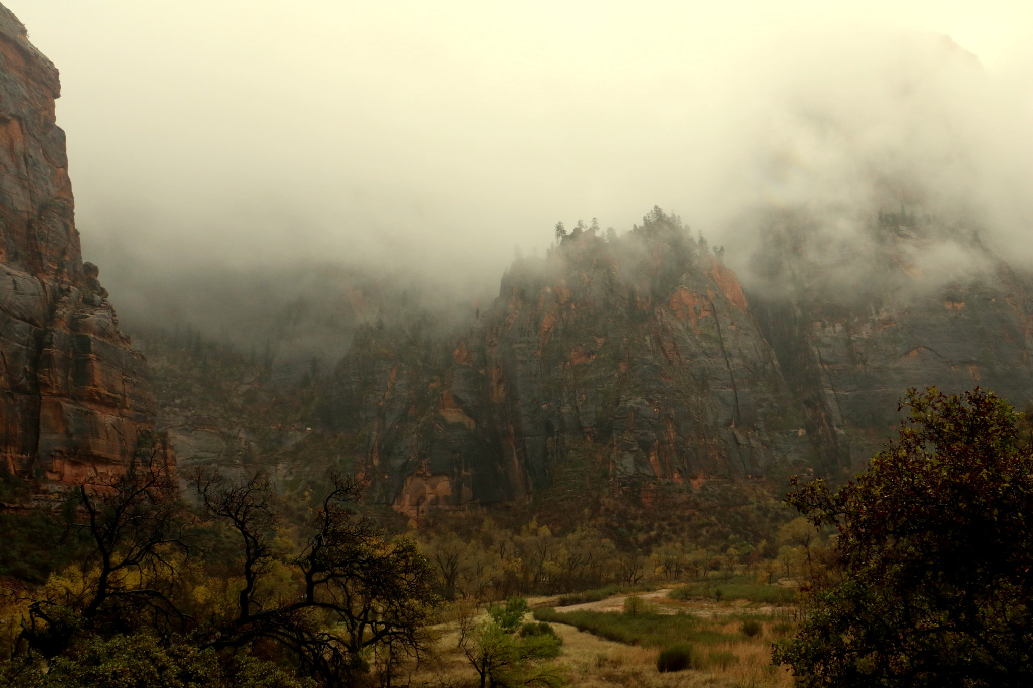 Canon EOS 750D (EOS Rebel T6i / EOS Kiss X8i) sample photo. Zion in mist photography