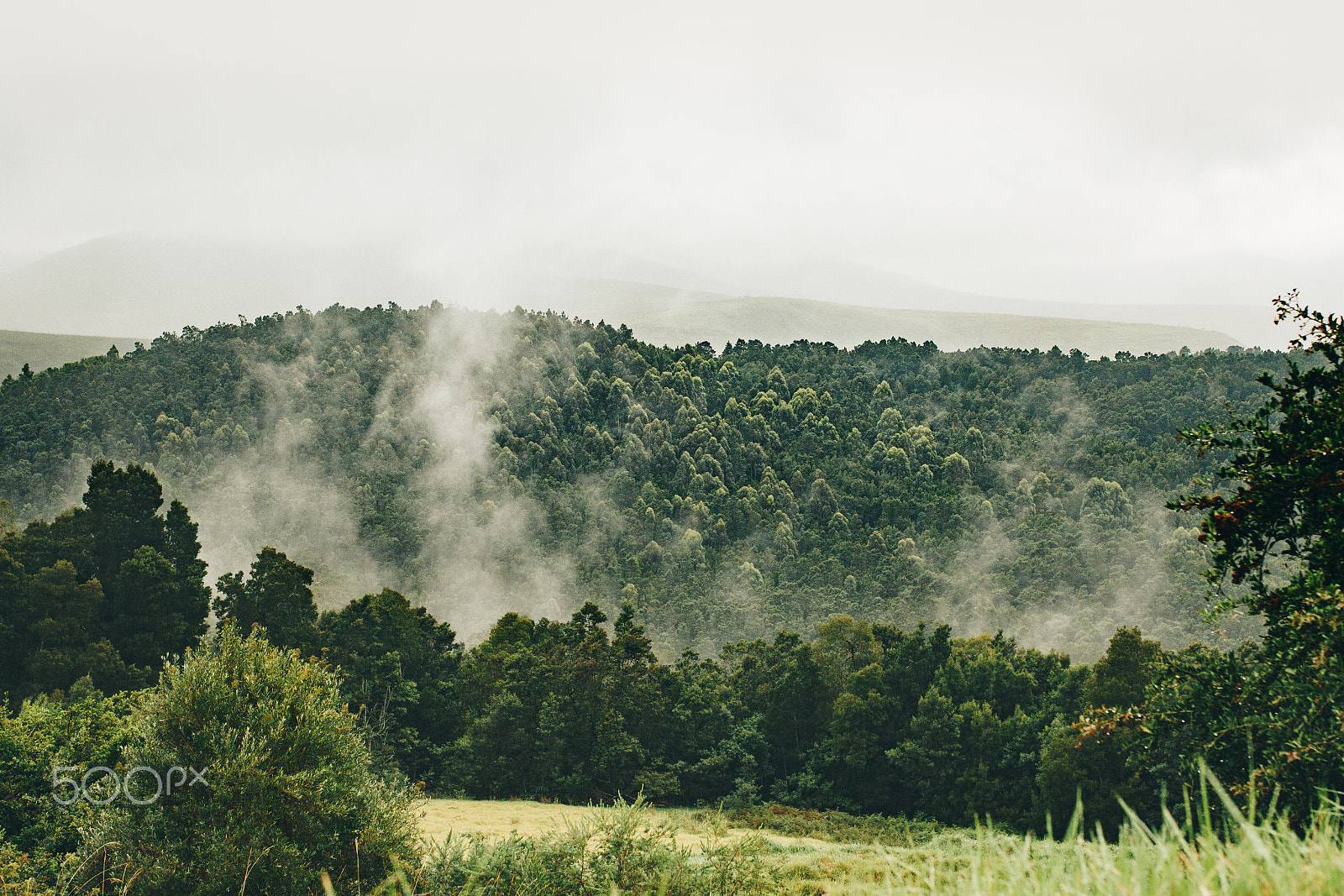 Canon EOS 700D (EOS Rebel T5i / EOS Kiss X7i) sample photo. Misty valley mornings photography