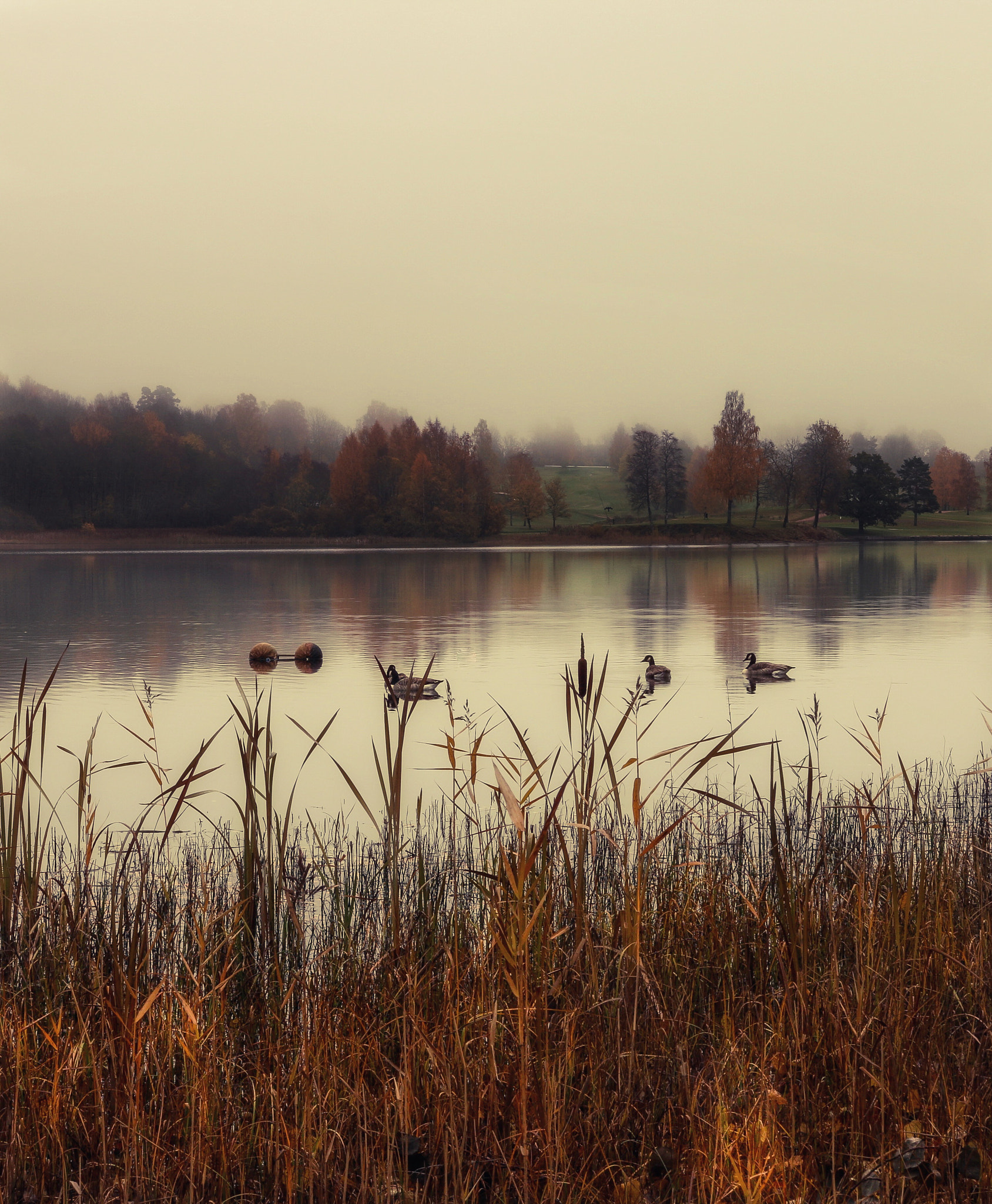 Canon EOS 70D sample photo. The lake photography