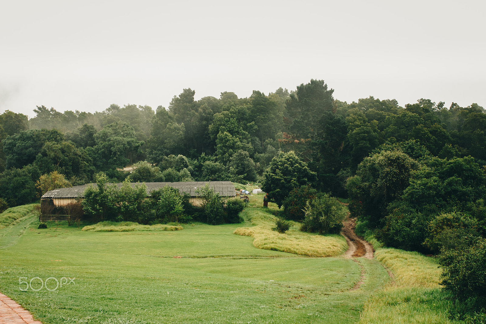 Canon EOS 700D (EOS Rebel T5i / EOS Kiss X7i) + Sigma 35mm F1.4 DG HSM Art sample photo. Misty valley mornings photography
