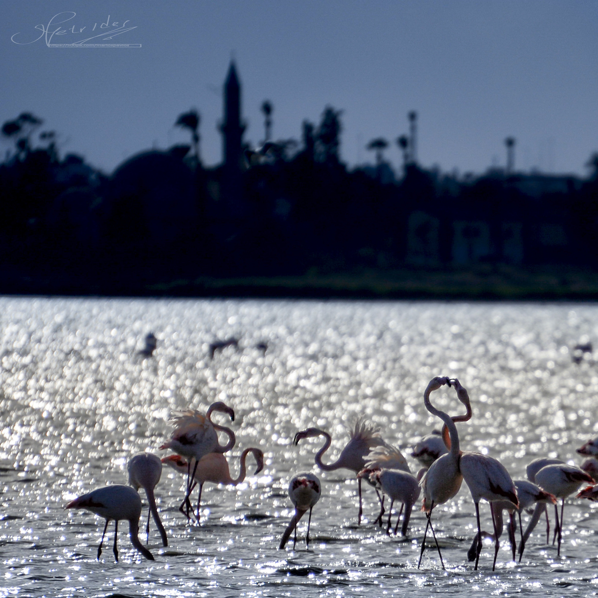 Nikon D800 sample photo. Salt lake romance photography