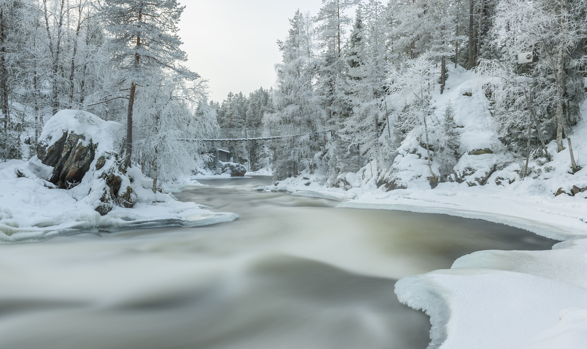 Nikon D5 sample photo. Peaceful water photography