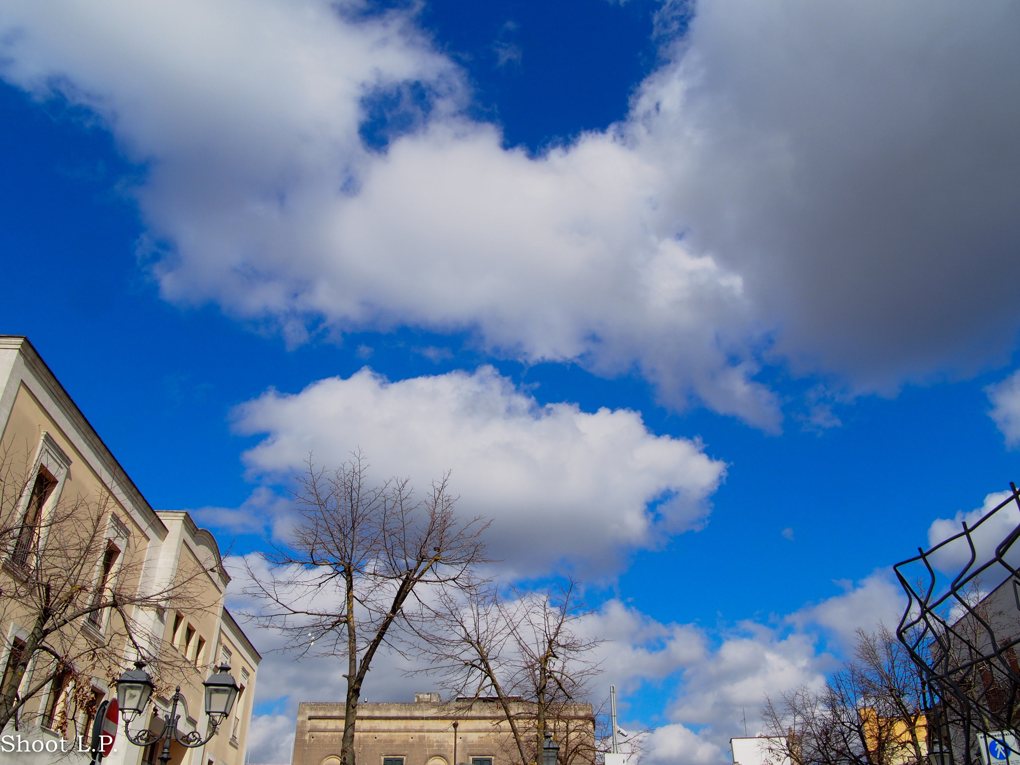Olympus OM-D E-M5 sample photo. San marzano di s. giuseppe photography