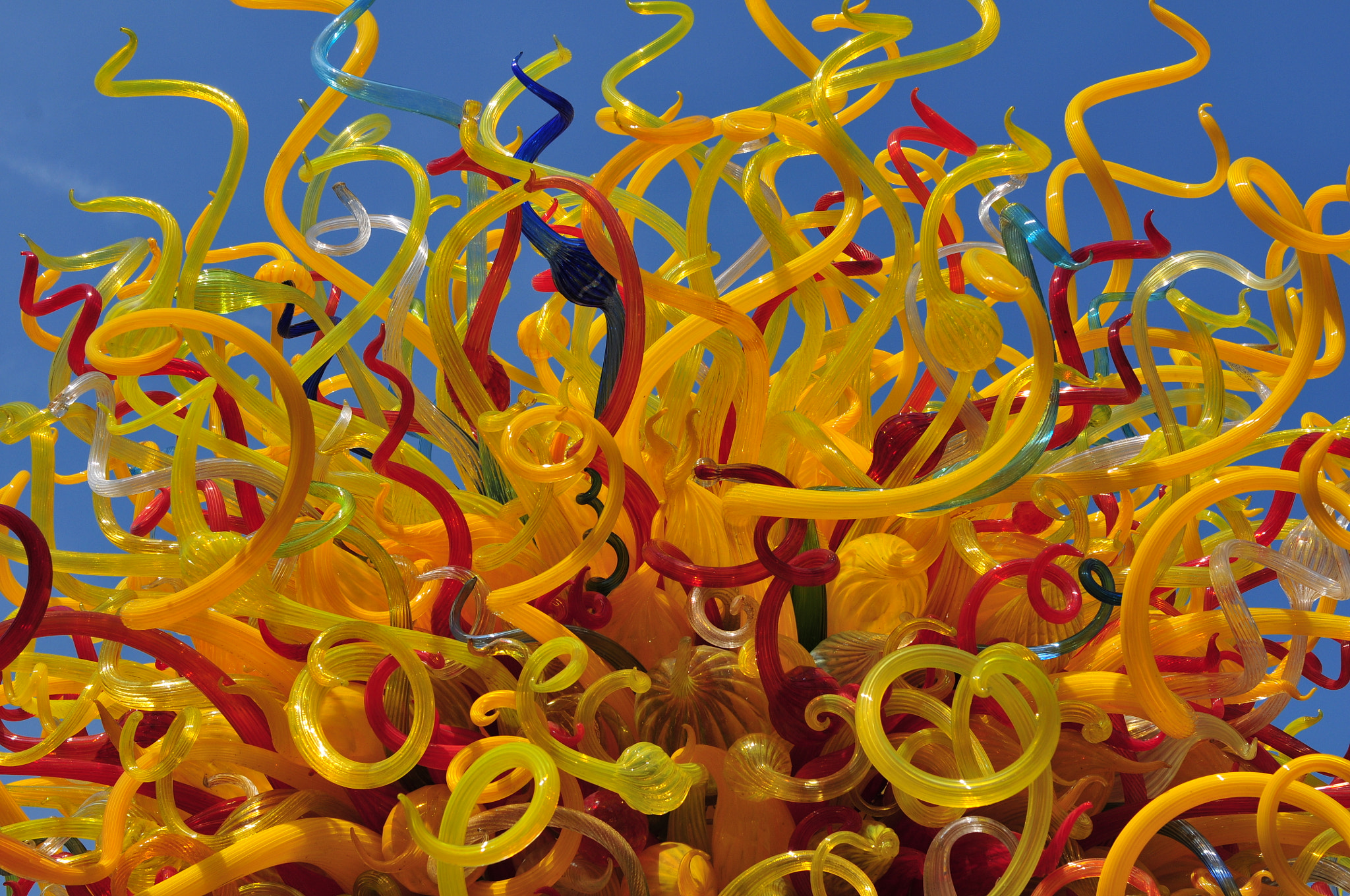 Nikon D300 sample photo. Chihuly glass sculpture photography