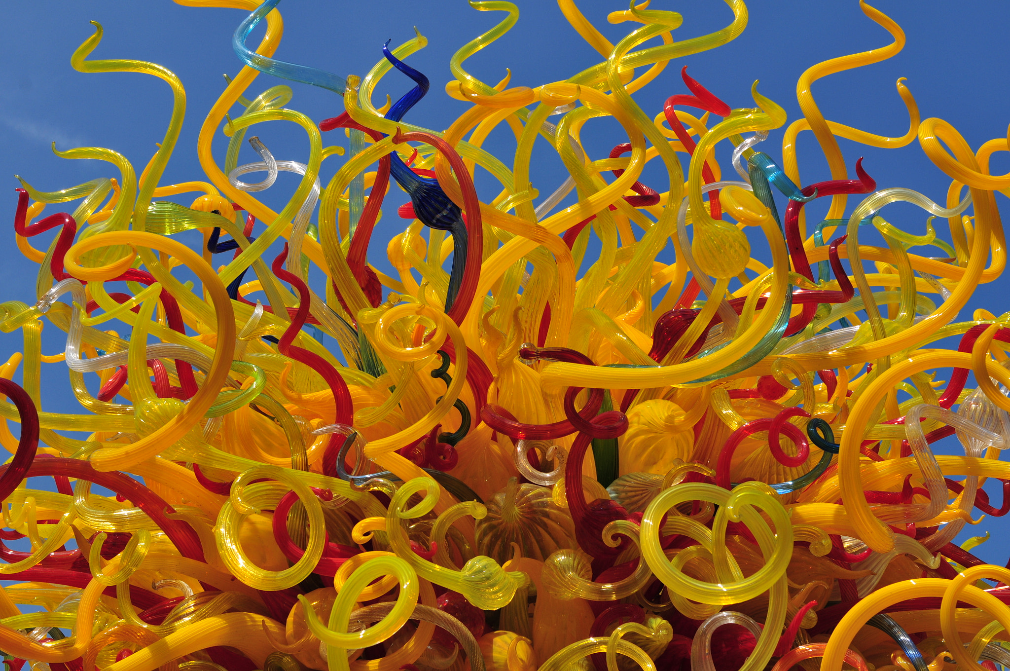 Nikon AF-S Nikkor 24-70mm F2.8G ED sample photo. Chihuly glass sculpture photography
