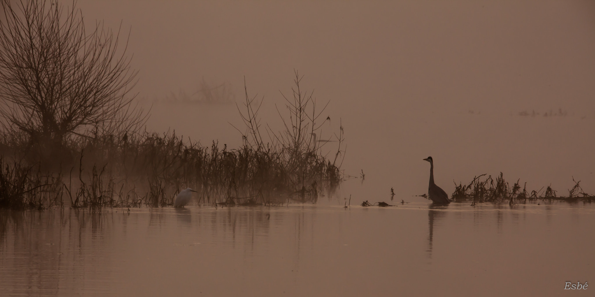 150-600mm F5-6.3 DG OS HSM | Contemporary 015 sample photo. Ealy birds...catch the worm photography